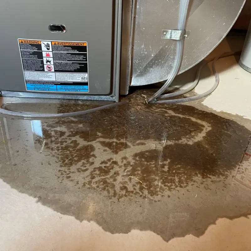 Appliance Leak Cleanup in New Vienna, OH